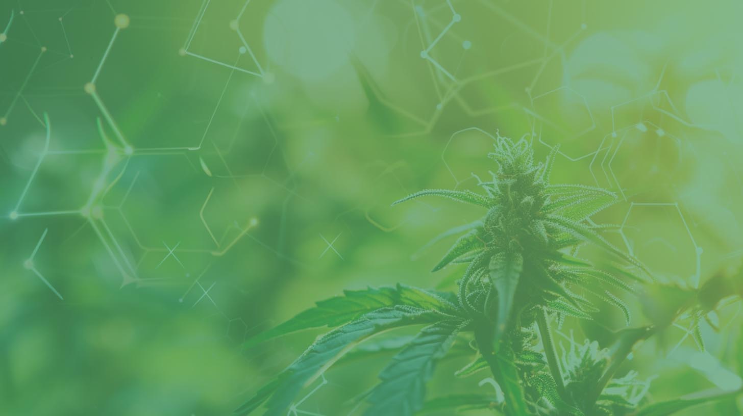 VPR Brands Wholesale